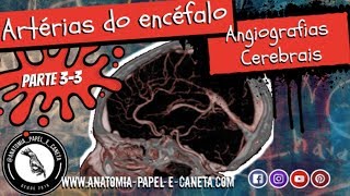 Artérias do encéfalo Parte 33  ANGIOGRAFIA CEREBRAL  ARTÉRIOGRAFIAS [upl. by Rodney]