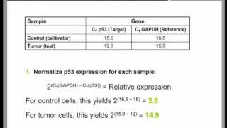 Real Time QPCR Data Analysis Tutorial part 2 [upl. by Tybi150]