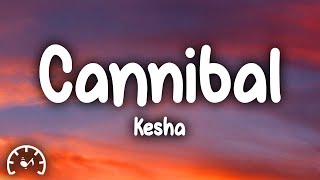 Kesha  Cannibal Lyrics [upl. by Victor]