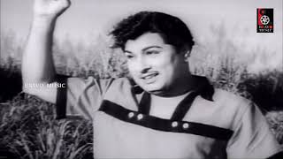 Enna Than Nadakkum  என்ன தான் நடக்கும்  T M Soundararajan MGR Hit Song HD Video [upl. by Ramses18]