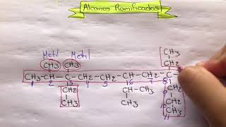 Alcanos Ramificados [upl. by Leddy366]