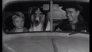 Lassie  Episode 121  quotThe Crisisquot  Season 4 18 n 01051958 [upl. by Aiuqal]