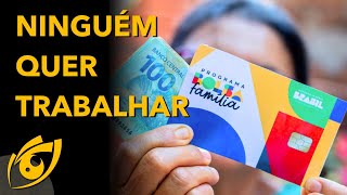 Estudo sugere que BOLSA FAMÃLIA faz as pessoas desistirem de PROCURAR EMPREGO [upl. by Scurlock]