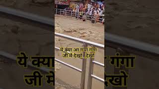 ध्यान से देखो गंगा जी में ये क्या आ गया religion gangaa gangariver ganga [upl. by Burdett]