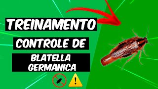 Controle de Blatella Germanica  Treinamento [upl. by Rabkin]