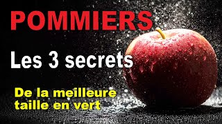 Les secrets de la meilleure taille en vert pour couvrir vos pommiers de fruits [upl. by Eilah]