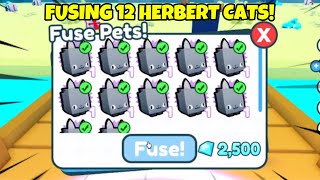 What happens when you Fuse 12 HERBERT CATS In PET SIMULATOR X [upl. by Joshua]