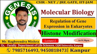 Histone Modification  Molecular Biology  Lecture12  CSIR NETJRF  Life science [upl. by Ahsinert]