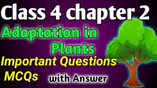 Class 4 Adaptation in plants chapter 2 important question answer [upl. by Delia]