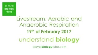 Respiration webinar  Aerobic and Anaerobic OCR A Eduqas Edexcel AQA [upl. by Amal]