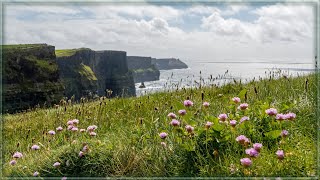 Beautiful Ireland ♡ Down By The Sally Gardens ♡ Irish Celtic folk song ❀ [upl. by Harte]