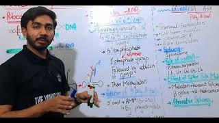 PostTranscriptional Modification Of RNA Biochemistry Genetes [upl. by Osgood24]