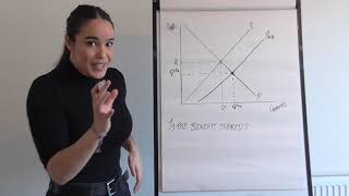 Subsidies Diagram and Theory [upl. by Sullivan389]