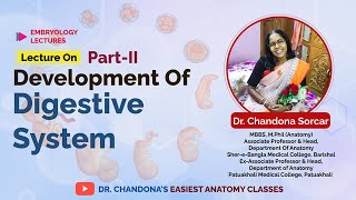 Lecture on development of the digestive system part II [upl. by Brittne]