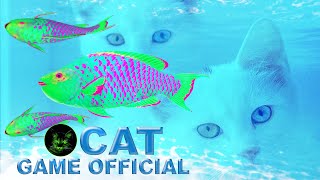 Cat Games Fish  Catching Colorful Fish Video For Cats To Watch  Cat Tv [upl. by Redd]