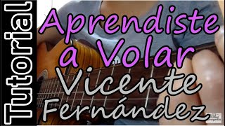 Como tocar Aprendiste a Volar  Vicente Fernández en Guitarra [upl. by Anialam]