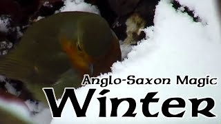 AngloSaxon Winter and Æcerbot Old English Charm for Cursed Land [upl. by Llekram]