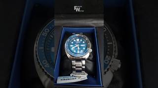 Seiko Turtle SRPD21K1 Special Editon Great White Shark seiko seikowatches seikoturtle seikodiver [upl. by Sherj923]