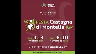 Sagra della Castagna di Montella Cutteziello al sugo con polpette e caciocavallo vino e birra [upl. by Ameerahs455]