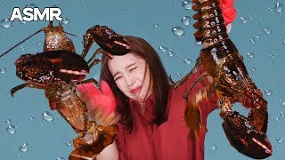 Mukbang 살아있는 가재 먹방🌊Live Lobster Sashimi クレイフィッシュ gia tài กุ้งนาง 螯蝦屬 Eatingsound Realsound ASMR [upl. by Morly]