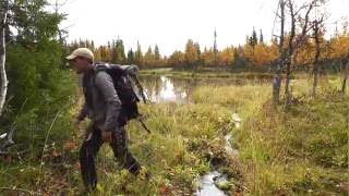 Backpacking in Swedish Lapland  Dellikälven [upl. by Ulysses]