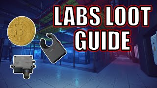 Learn Labs Loot In 10 MINUTES [upl. by Bonilla]