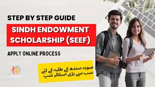 Apply for Sindh Educational Endowment Scholarship 2024 in 5 Minutes [upl. by Hussein851]