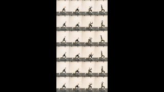 EINFALL  andrew winghart choreography [upl. by Pavlish]