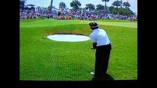 Fan aggravate Bubba Watson at The Players Championship [upl. by Maurey650]