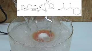 trans cinnamic acid synthesis via claisen condensation part 1 ChemPlayer tribute [upl. by Anoyi745]