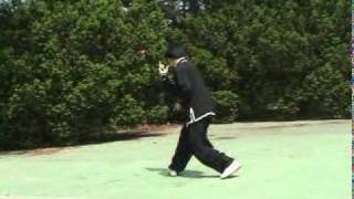 Xingyiquan Xingyi Quan Hsing I Chuan Hsing Yi Chuan Form and Applications 形意拳套路及應用 [upl. by Sueaddaht]