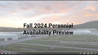 Fall 2024 Perennial Availability Preview [upl. by Aekim85]