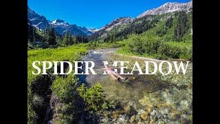 Backpacking Spider Meadow of Central Cascades [upl. by Annazus926]