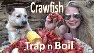 Trapping and Crayfish Boil Catch n Cook Trap CRAWDADS [upl. by Aneeuqahs325]