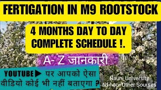 Fertigation In M9 Rootstock 17 Year plants प्रतिदिन का schedule Nauni University Adhoc Oth so [upl. by Levitan]