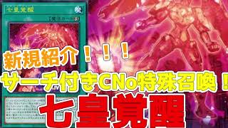 新規紹介！七皇覚醒！CNoを特殊召喚してサーチ！楽しい速攻魔法キタ！！！【遊戯王】 [upl. by Barnet]