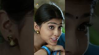 Shriya Saran Comedy with Ravi Teja  Bhageeratha  shorts  youtubeshorts  SriBalajiVideo [upl. by Ahsinnor]