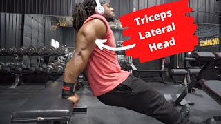 3 Exercises For Thick Triceps  Triceps Lateral Head [upl. by Queston]