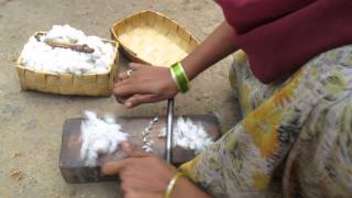 removing seeds by hand from wild organic cotton [upl. by Allimaj]