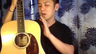 Martin D16RGT Guitar Review In Singapore [upl. by Serena]