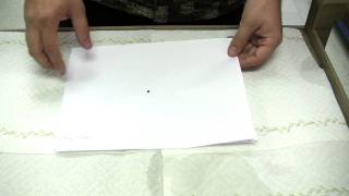 Flea Control  How Fast Do Fleas Multiply [upl. by Eachern]