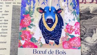 almanach de sorcières tirage du signe du jour le boeuf ♥️💗❤️ [upl. by Eidok]