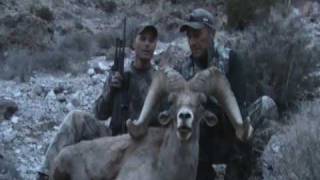 Arizona Desert Bighorn Sheep Hunt with Arizona Guided Hunts  Super Raffle Winner Claude Sanchez [upl. by Annahsohs398]