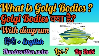 What is Golgi Bodies Golgi Bodies क्या है Cell biology Lec7  By Rubi [upl. by Loreen515]