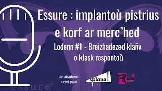 Enklaskoù « Splann  »  Ensteudoù Essure 1  Breizhadezed klañv o klask respontoù [upl. by Yelime]