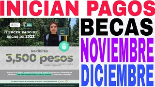 🤩PAGOS BECAS NOVIEMBRE DICIEMBRE 🛑 YA PUEDES COBRAR TARJETA BIENESTAR FECHAS Y MONTOS🚨 [upl. by Goodspeed]