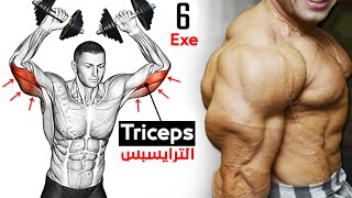 How To Build Your Triceps workout Fast 6 Effective Exercises [upl. by Balthazar]