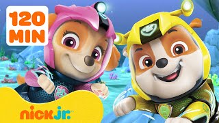 Щенячий патруль  Миссии гдеугодно только не в Бухте Приключений 💥 2 часа  Nick Jr Cyrillic [upl. by Anaira]