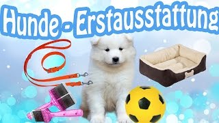 HundeErstausstattung  Welpe Erstausstattung  Das braucht ein Hund bzw Welpe [upl. by Casey210]