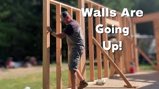 Framing the Walls for the Bumpout  Arched Cabin Build homestead archedcabin Idaho [upl. by Nitnert944]